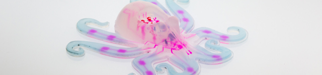 The Future of Soft Robots