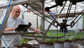 Easy Installation at Grower Rosa Danica image