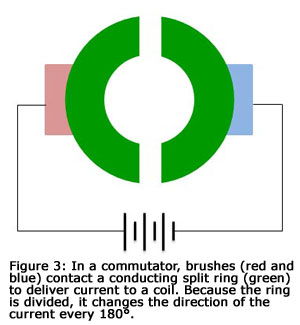 Figure 3: In a commutator, brushes (red and blue) contact a conducting split ring (green) to deliver current to a coil. Because the ring is divided, it changes the direction of the current every 180 degrees.