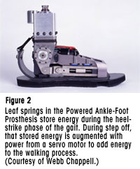 Figure 2 - Leaf springs in the Powered Ankle-Foot Prosthesis store energy during the heel-strike phase of the gait. During step off, that stored energy is augmented with power from a servo motor to add energy to the walking process. (Courtesy of Webb Chappell.)