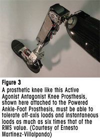 Figure 3 - A prosthetic knee like this Active Agonist Antagonist Knee Prosthesis, shown here attached to the Powered Ankle-Foot Prosthesis, must be able to tolerate off-axis loads and instantaneous loads as much as six times that of the RMS value. (Courtesy of Ernesto Martinez-Villalpando)