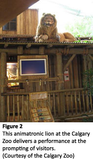 Animatronic lion at Calgary Zoo