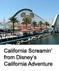 California Screamin’ from Disney’s California Adventure
