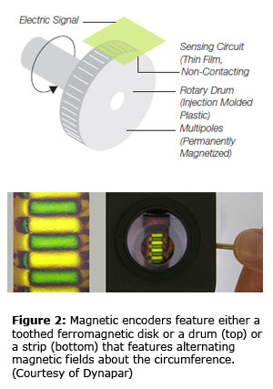 Figure 2: Magnetic encoders feature either a toothed ferromagnetic disk or a drum (top) or a strip (bottom) that features alternating magnetic fields about the circumference. (Courtesy of Dynapar)