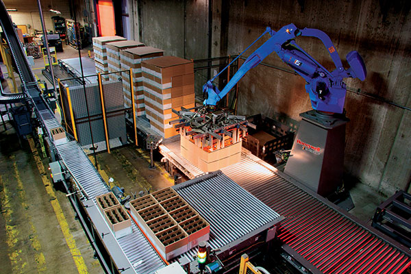 Schneider Packaging - 1 in 1 out application Blue Arm Depalletizing