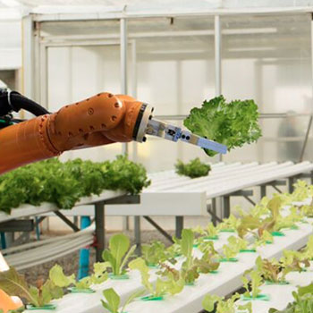 Agriculture Robots