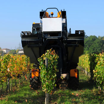 Agriculture Industry
