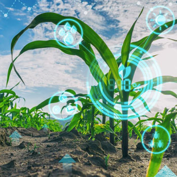 Environmental Industry