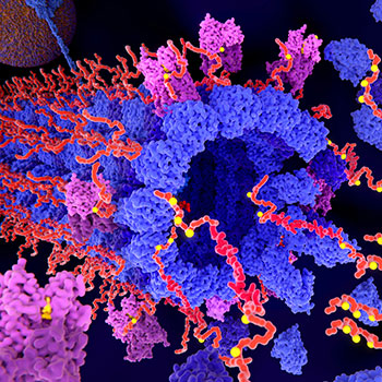 Proteomics Industry