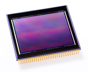 Sensor