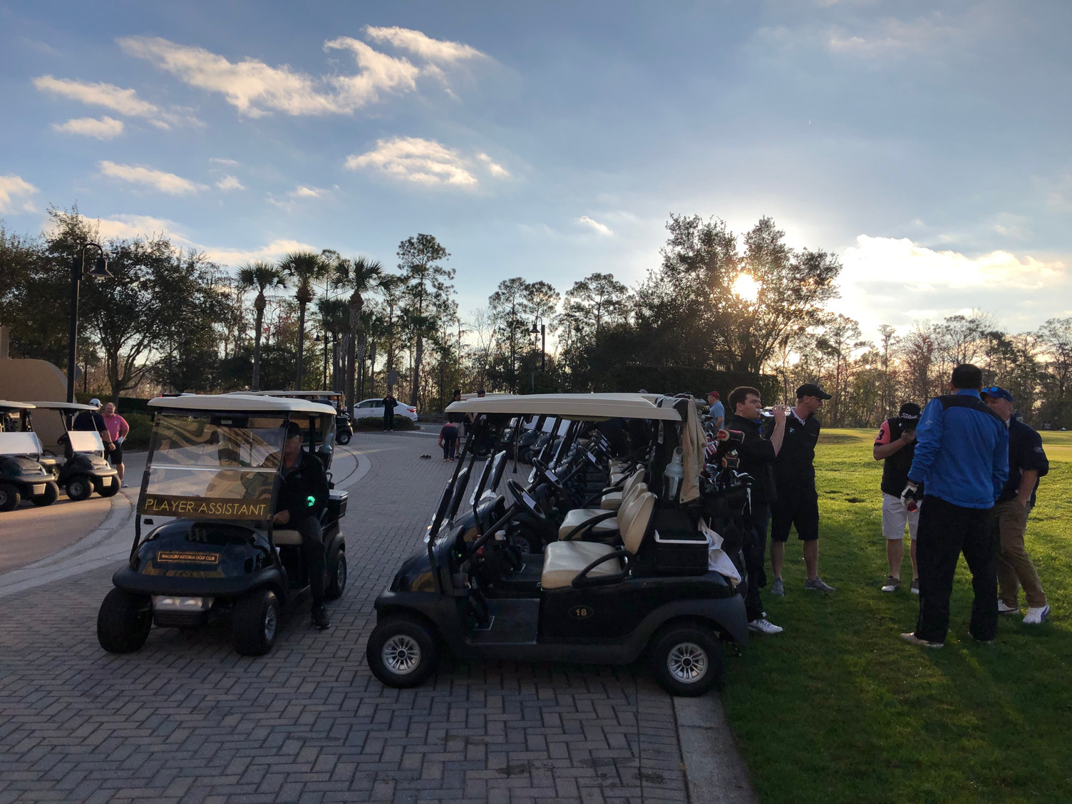 golf course and carts