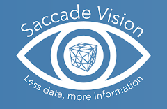 Saccade Vision