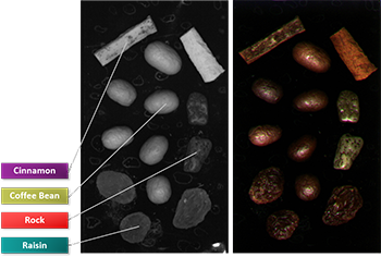 SWIR cameras such as those from Teledyne Imaging can help detect moisture for food sorting applications.