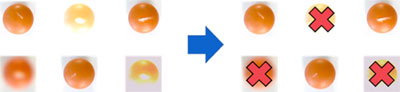 Figure 3: For best results, an AVI training dataset should be culled down to only high-quality images. (Courtesy of Landing AI)