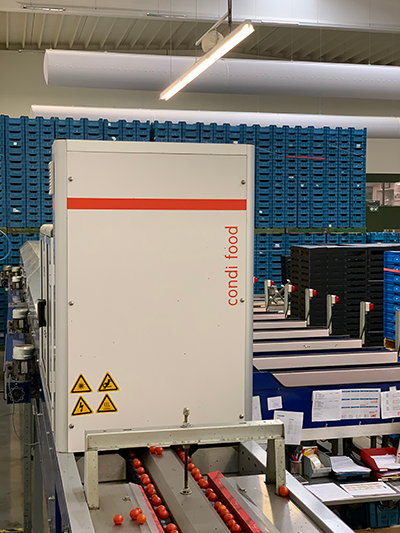 Figure 1: Condi Food developed an inspection system that uses hyperspectral imaging to evaluate the taste of cherry tomatoes in real time. Source: Condi Food