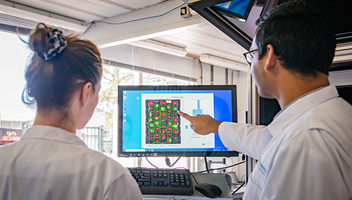 Figure 3: Wageningen University & Research created a way to make it easier for end users to take advantage of hyperspectral imaging capabilities to analyze fresh produce. Source: Wageningen University & Research