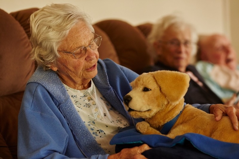 Woman holds Jennie robot dog