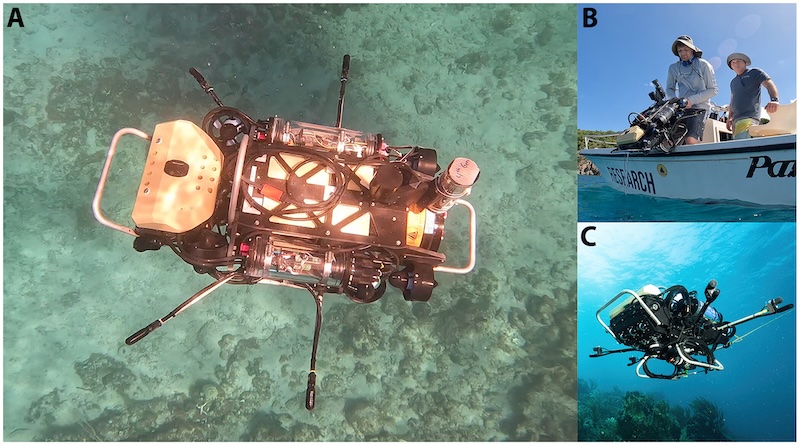 Coral Reef Drones