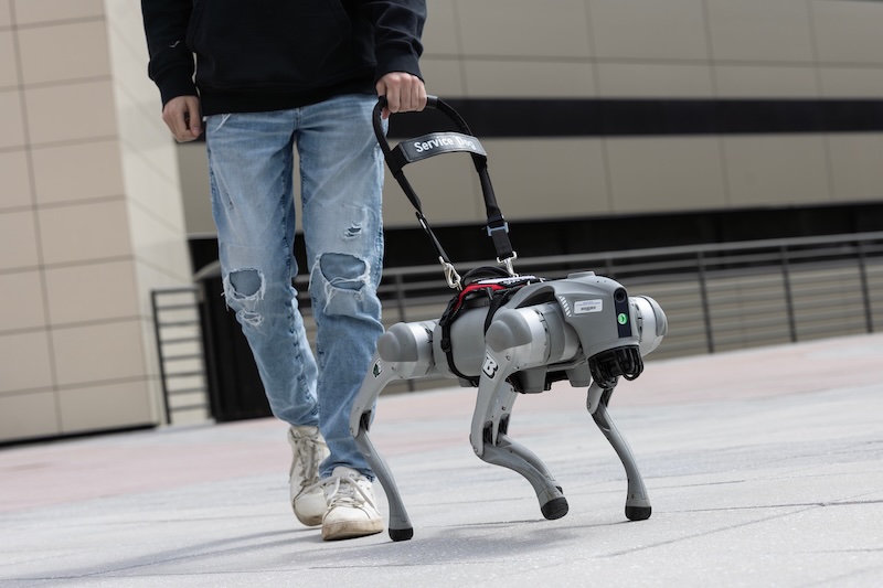 Robot Guide Dog