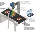 LiDAR and Hyperspectral Imaging