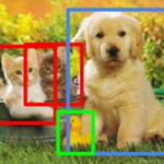 Depth Perception and Object Detection