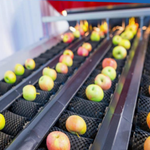 Automating the Food Chain