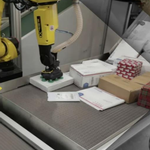 Parcel Variability and Vision Perception Software