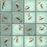 Using AI for Semantic Segmentation