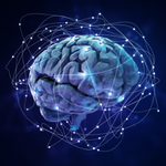 Can Neural Networks be Applied to Machine Vision