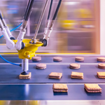 Robotics and the Food Industry