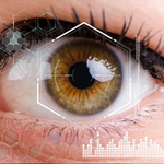 A3 Vision & Imaging - 4Q 2019 Abridged Report