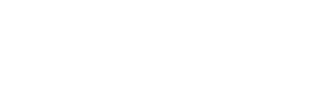 International Robot Safety Conference