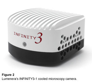 Lumenera's INFINITY3-1 cooled microscopy camera.