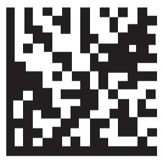 Figure 1: A Data Matrix symbol. The solid black lines on two axes help readers locate and properly decode the symbol.
