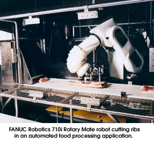 FANUC Robotics 710i Rotary Mate robot cutting ribs in an automated food processing application. 