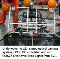 Underwater rig with stereo optical camera system, DC to DC converter, and six ODS75 OverDrive Brick Lights from SVL.