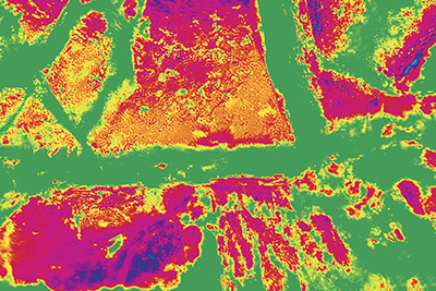 Thumb-Sized Polarization Camera Used to Detect Camouflaged Objects