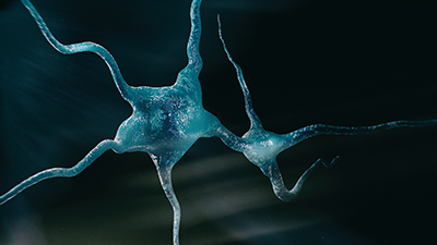 Artificial Intelligence in Digital Pathology: Understanding the Molecular Basis of Diseases