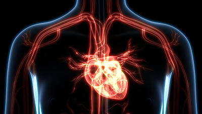 Europe Promotes Research by Providing Access to Biological and Biomedical Imaging Through New Program