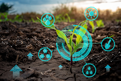 Improving Soil Management with Agricultural Optical Sensors