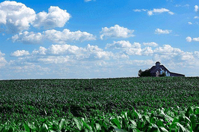 While machine vision has been deployed in farming for two decades, advances in microprocessors and high-speed data transmission are giving farmers unprecedented insights into their operations.