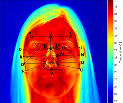 Figure 3: Facial temperatures, which can be measured using a thermal camera, are strongly correlated to mental workload. The effect is most pronounced around the nose. Facial temperatures are reduced as people perform tasks of increasing difficulty. Photo courtesy University of Nottingham.