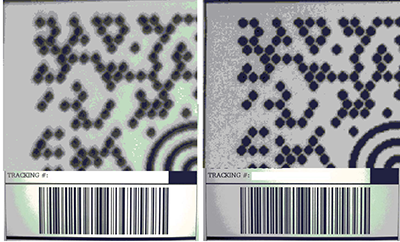 Figure 5: The importance of contrast