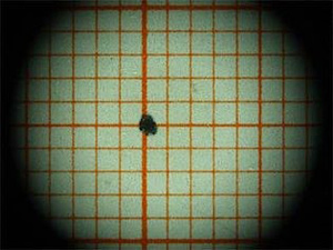 Figure 6: Vignetting (Source: Wikipedia)
