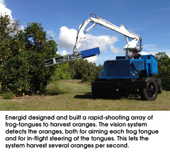 Energid designed and built a rapid-shooting array of frog-tongues to harvest oranges. The vision system detects the oranges, both for aiming each frog tongue and for in-flight steering of the tongues. This lets the system harvest several oranges per second.