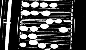 White eggs on black background