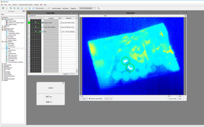 EyeVision software