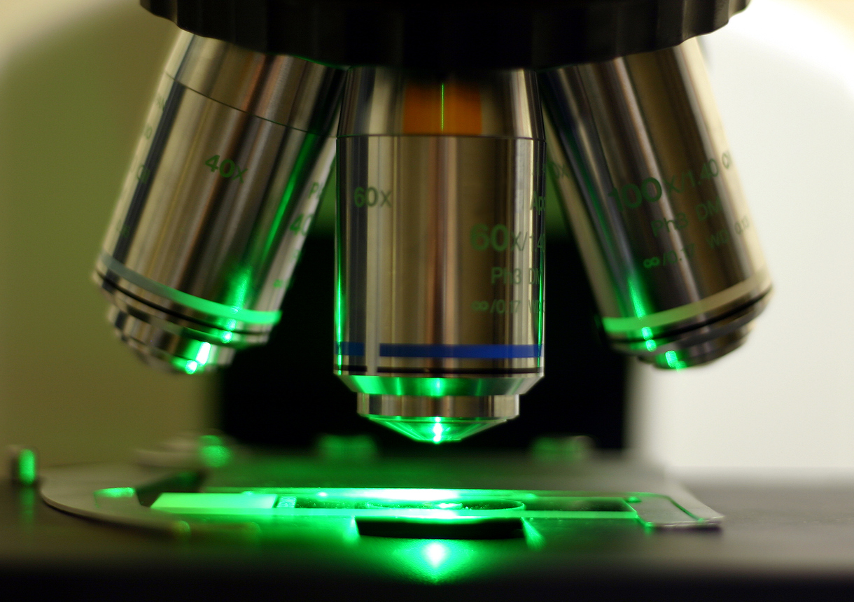 Choosing a CMOS Camera for Fluorescent Microscopy