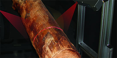 Ambient Light Applications