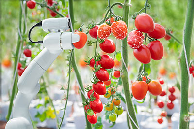 Machine Vision Saving Agriculture: One Crop at a Time
